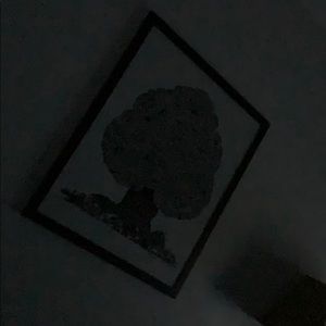 Meet your Posher, Timothy